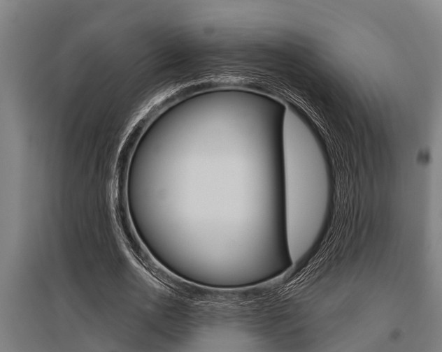 X0000096130726200801180828