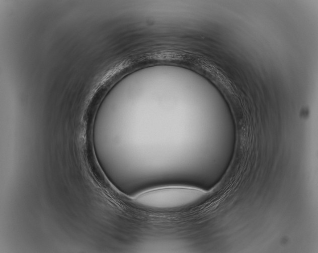 X0000096130727200801180828