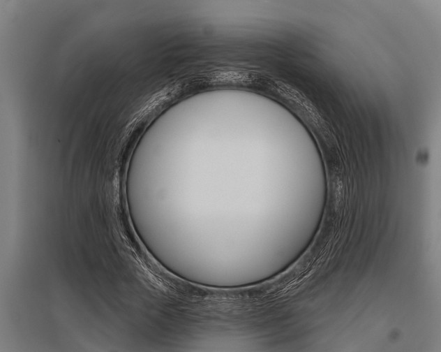 X0000096130729200801180829