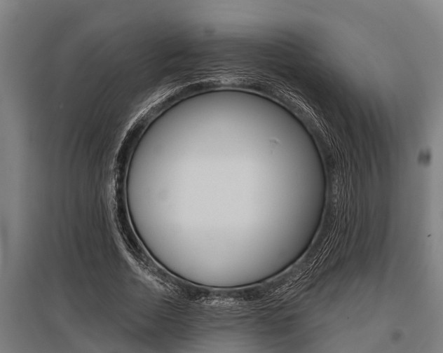 X0000096130730200801180829