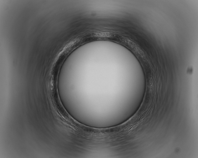 X0000096130731200801180829