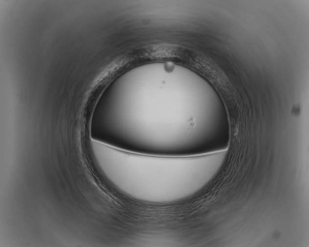 X0000096130732200801180829