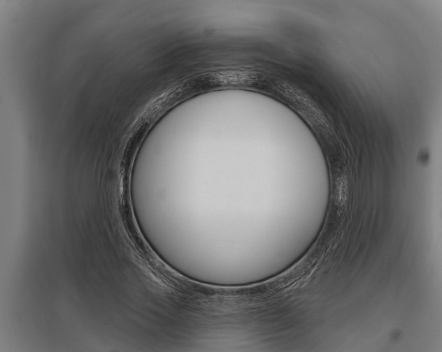 X0000096130733200801180829
