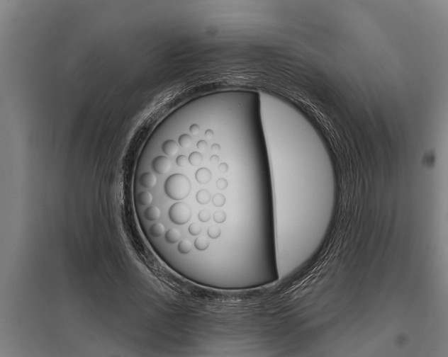 X0000096130734200801180829