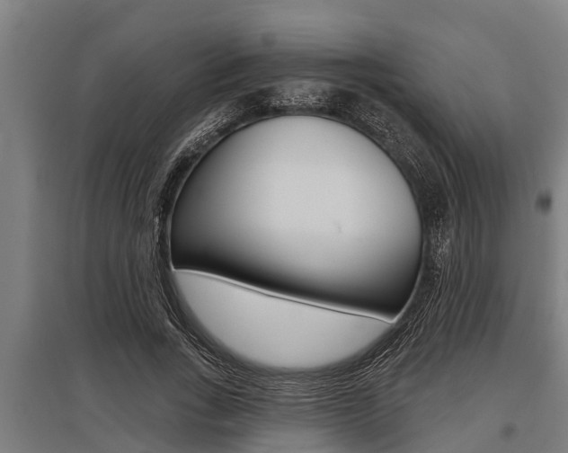 X0000096130735200801180829
