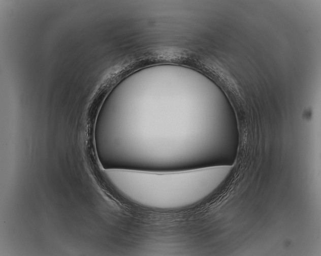 X0000096130736200801180829