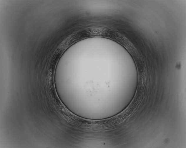X0000096130737200801180829