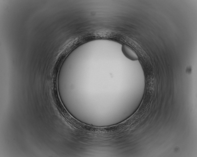 X0000096130738200801180829