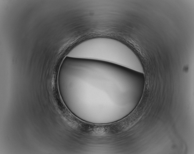 X0000096130740200801180829