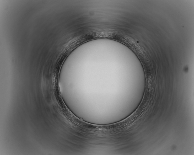 X0000096130741200801180829