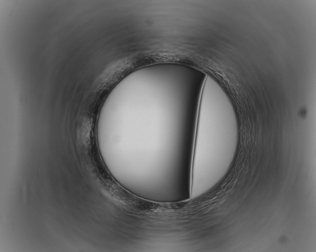 X0000096130742200801180829