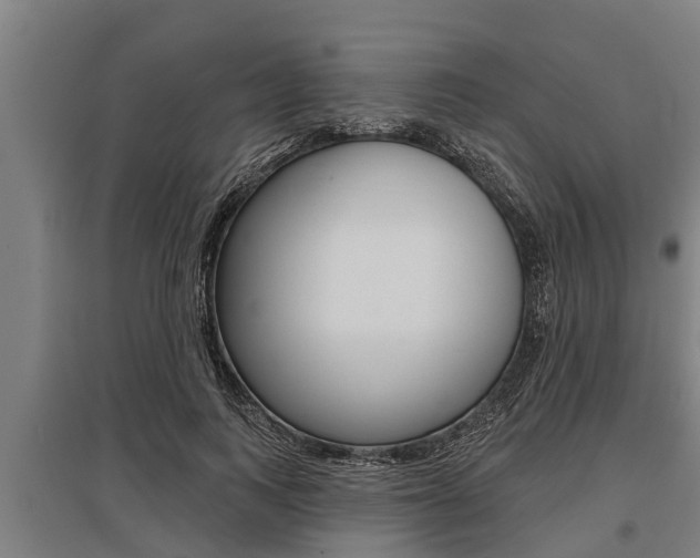X0000096130743200801180829