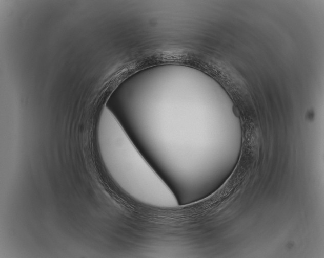 X0000096130744200801180829