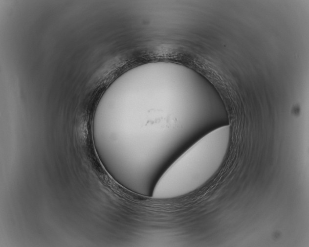 X0000096130746200801180829