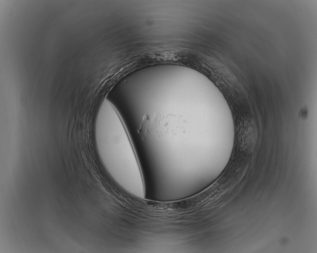 X0000096130747200801180829
