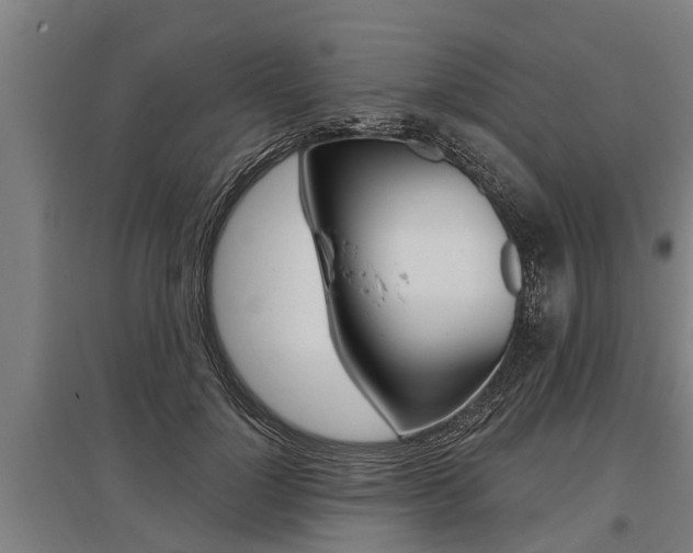 X0000096130748200801180829