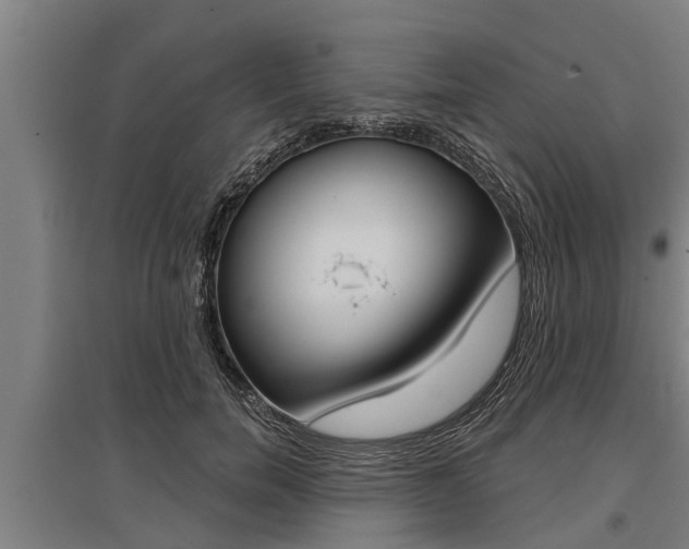 X0000096130750200801180829