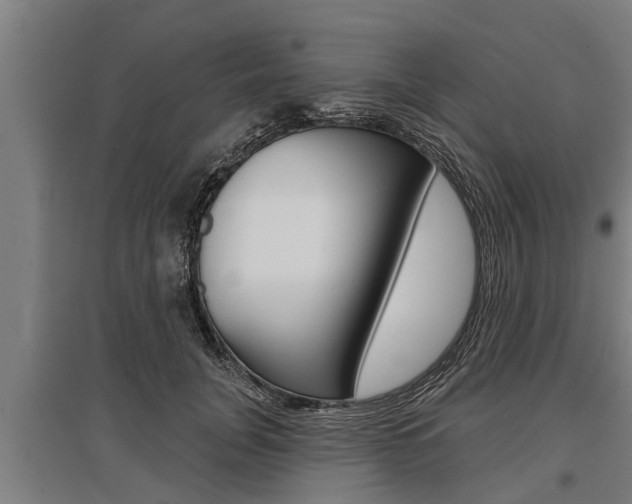 X0000096130751200801180829