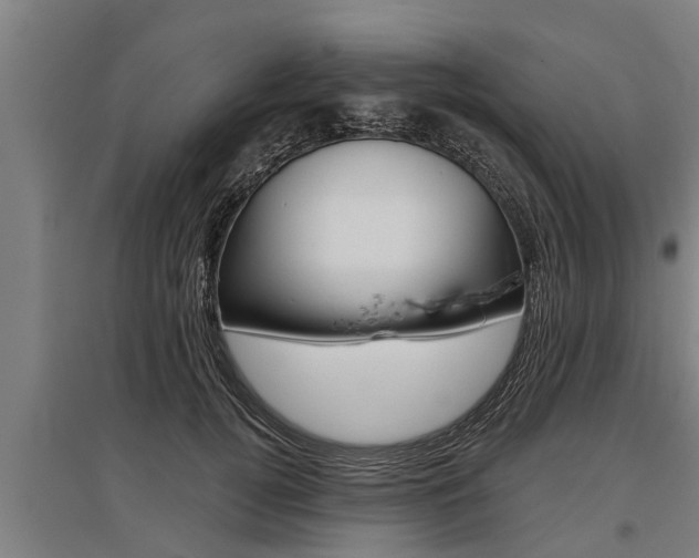 X0000096130752200801180829