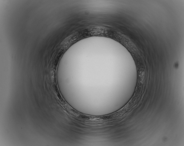 X0000096130753200801180829