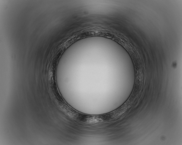 X0000096130754200801180829