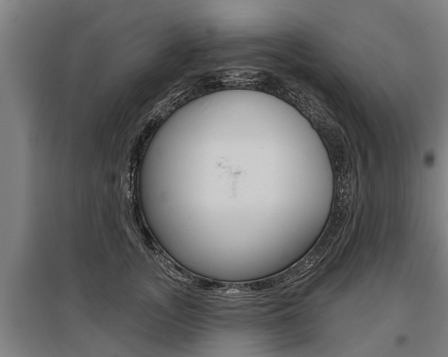X0000096130755200801180829