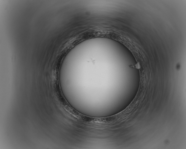 X0000096130756200801180829