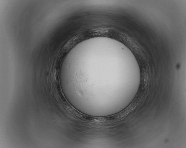 X0000096130758200801180829