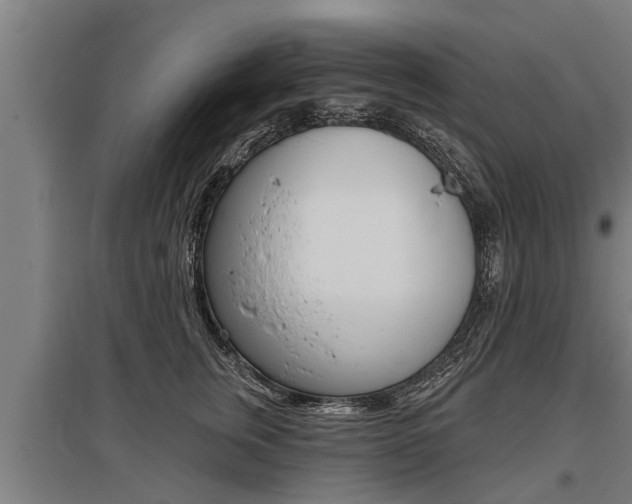 X0000096130759200801180829
