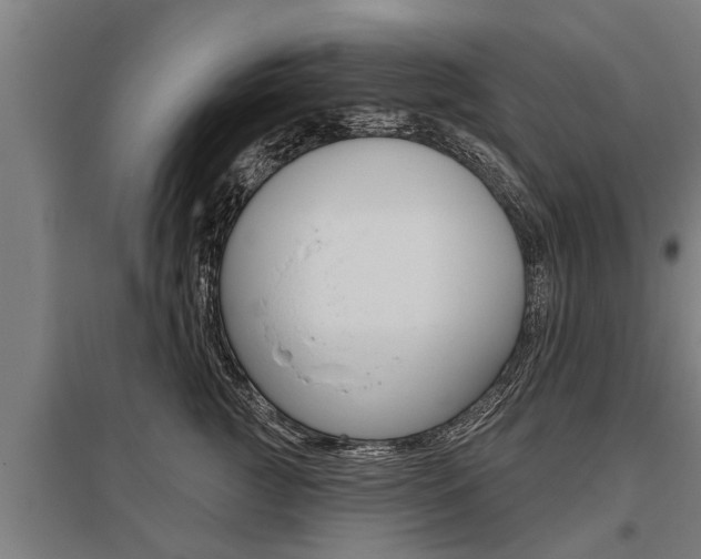X0000096130761200801180829