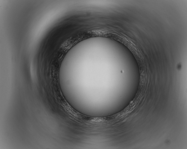 X0000096130762200801180829