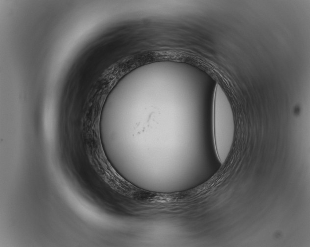 X0000096130764200801180829