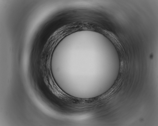X0000096130765200801180829