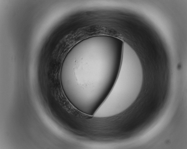 X0000096130766200801180829