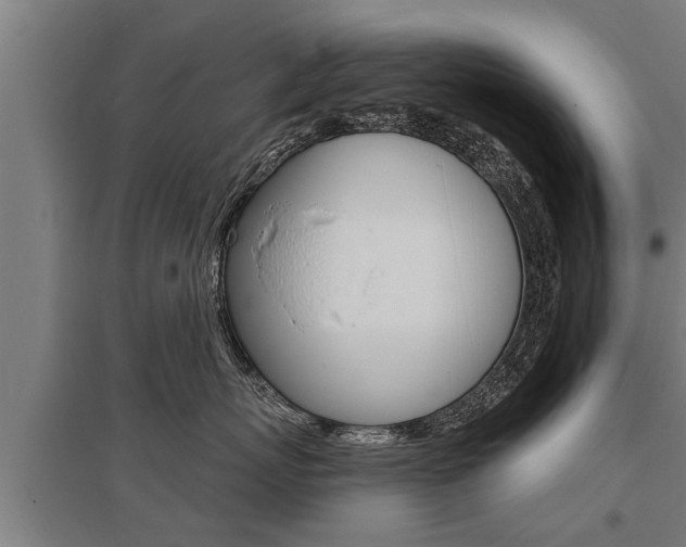 X0000096130767200801180829