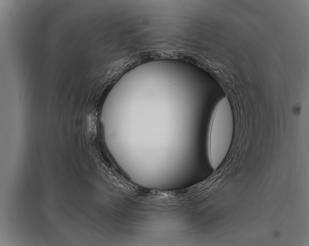X0000096130768200801180829