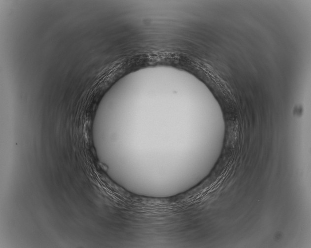 X0000096130770200801180828