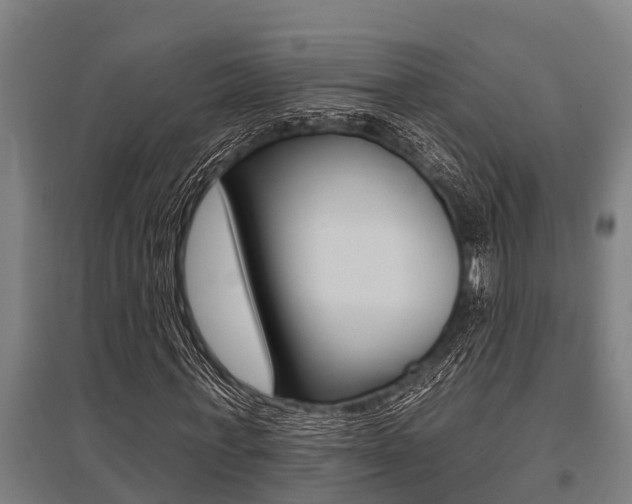 X0000096130771200801180828