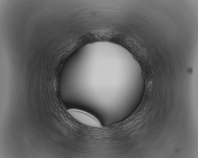 X0000096130772200801180828