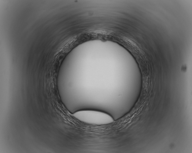 X0000096130774200801180828
