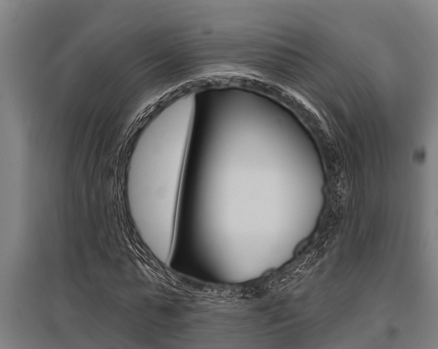 X0000096130775200801180828
