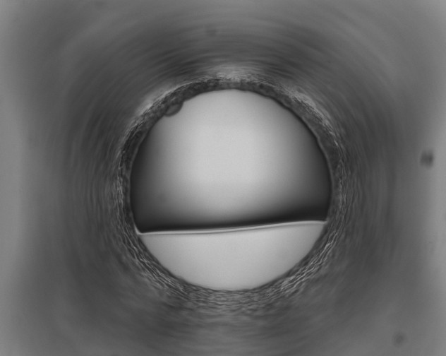 X0000096130776200801180828