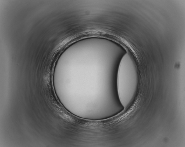 X0000096130778200801180828