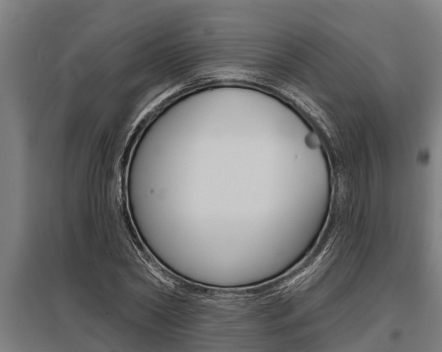 X0000096130782200801180828