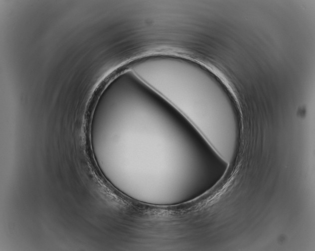 X0000096130783200801180828