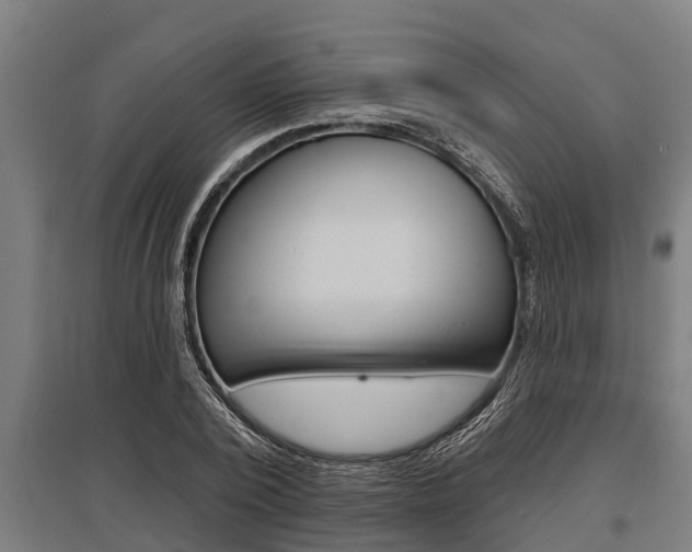 X0000096130784200801180828