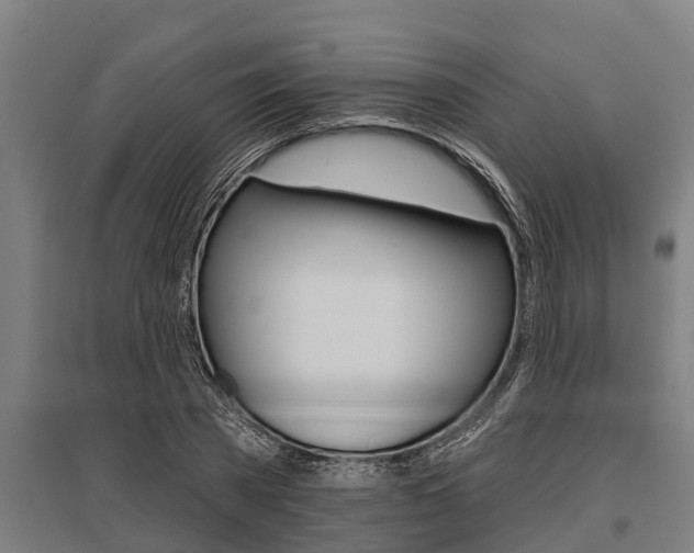 X0000096130785200801180828