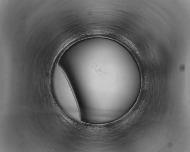 X0000096130786200801180828