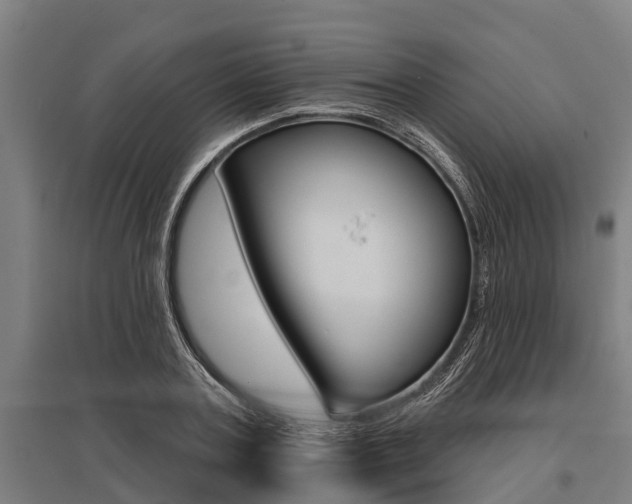 X0000096130787200801180828