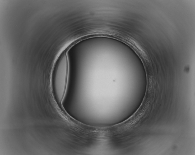 X0000096130788200801180828